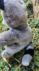 Peluche Mapache 35cm 3
