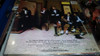 Heart Private Audition Lp Vinilo Insert Uk Impecable 1982 7