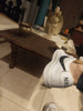 Zapatillas Nike Balzeer 2 Talle 42 0