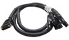 Sísmica Canal De  Sadb8 X F5  Db25  8 De Audio Xlr Hembra Ds 0