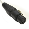 Sísmica Canal De  Sadb8 X F5  Db25  8 De Audio Xlr Hembra Ds 1