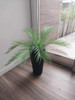 Palmera Areca Artificial De Aspecto Natural Sin Maceta 0