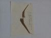 Sobre De Cartas Correo Aereo Estados Unidos Circa 1971 4