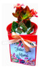10 Mini Suculentas Cactus Souvenir Plantitas Eventos Isiflor 2