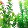 Kit Plantas Artificiais Aquários Green Kit 3un - 30cm 1