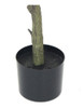 Planta Artificial Ficus Pandulata, Decoracion Palmera 150cm 3