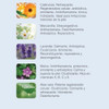 Ungüento Caléndula Manzanilla Lavanda Ayurdeva's Natural 3