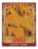 The Sacred World Oracle. Oraculo Mundo Sagrado 44 Cartas 5