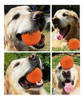 Productos Para Mascotasperrosjuguetespelotas 4