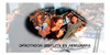 Aerografo Profesional 360º Con Copa Y Frasco Doble Accion 6