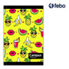Pack X2 Libretas Escolares Varios Diseños 48hjs Tapa Blanda 4