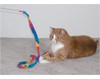 3 Pack Rainbow Cat Dancercat Charmer Wandteasercat Y Kitten 1
