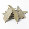 Eucaliptus Hoja, 1kg 0