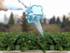 Regador Nube Para Botella - Ártico Store 3