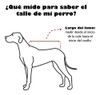 Capa Abrigo Reversible Para Mascota De 65cm De Lomo Paradise 2