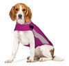 Chaqueta De Ansiedad Para Perros Polo Thundershirt 0
