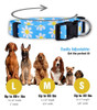 Collar De Perro De Flor De Cachorro Nativo, Ajustable Pequeñ 2