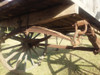 Carro Antiguo Excelente Estado Pieza Para Uso O Decoración 3