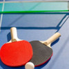 Kit Ping Pong 2 Raquetes 3 Bolinhas Com Rede Moderno 3