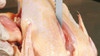 Lamina Serra Fita P/ Carne E Osso 2,05m C/ 10 Uni. 5