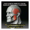 3 Unidades De Exercitadores De Bola Para Mastigar Mandíbula 7