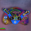 Boomerang Voodoo Wind Master Iniciacion Medio Ambidiestro 3