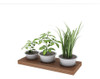 Estante Flotante 60x25 Cm Paraiso 2
