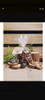 Papel Celafone, Saco Para Presente ,cesta, Saco 25x37cm 100u 3 Papel Celafone, Saco Para Presente ,cesta, Saco 25x37cm 100u 3