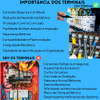 Kit Alicate Crimpador Terminal + Terminais De Cobre 1