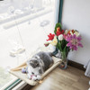 Cama Caminha De Janela Para Gatos Sunny Seat 4