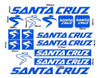 Juego Completo Calco Santa Cruz Bici 3