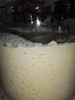 Masa Madre  Premium-orgánica 0