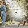 Correa De Cuerda Para Perros Para Entrenamiento, 2