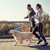 Correa De Cuerda Para Perros Para Entrenamiento, 6