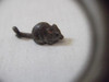 B. Antigo - Ratinho Miniatura Austríaca Antiga Em Bronze Ra1 3