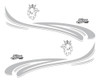 Kit Franjas Scania Silverline 5