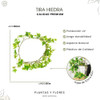 Tira Hiedra Colgante Enredadera De 1.50mt Calidad Premium 1