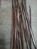 Hoja Rota De Esgrima 0