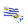 Bandera De Uruguay 145cm X 90cm Tcs 0