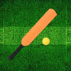 Bastão De Críquete, Jogo De Críquete, Comfort Laranja 6