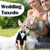 Traje De Esmoquin Para Gatos Sin Pelo Y Ocasiones Especiales 4