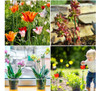 30 Peças De Estacas De Suporte De Plantas, Anéis De Suporte 6
