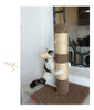Rascador Para Gato De Calidad, 52cm + Juguete Envio Gratis!! 5 Rascador Para Gato De Calidad, 52cm + Juguete Envio Gratis!! 5