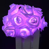 Crazyfire 6.5ft / 2.2m Rose Flower Led String Lights Hada Ch 1
