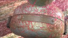 Buen Importante Antigua Moledora De Granos Granulate 3