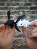Combo Dia Del Niño Chimuelo Furia Luminosa Dragones 1