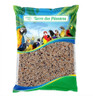 Mistura De Sementes Para Canário Da Terra Premium - 500g 0
