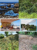 Red De Camuflaje/ Sombra  2x8m Verde Camo 6