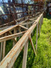 Cabreadas De Ángulo 0
