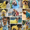 Blueberry Pet 12 Nuvens Reflexivas Imprime Capa De Chuva Lev 2